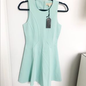 Teal Black Swan Dress NWT